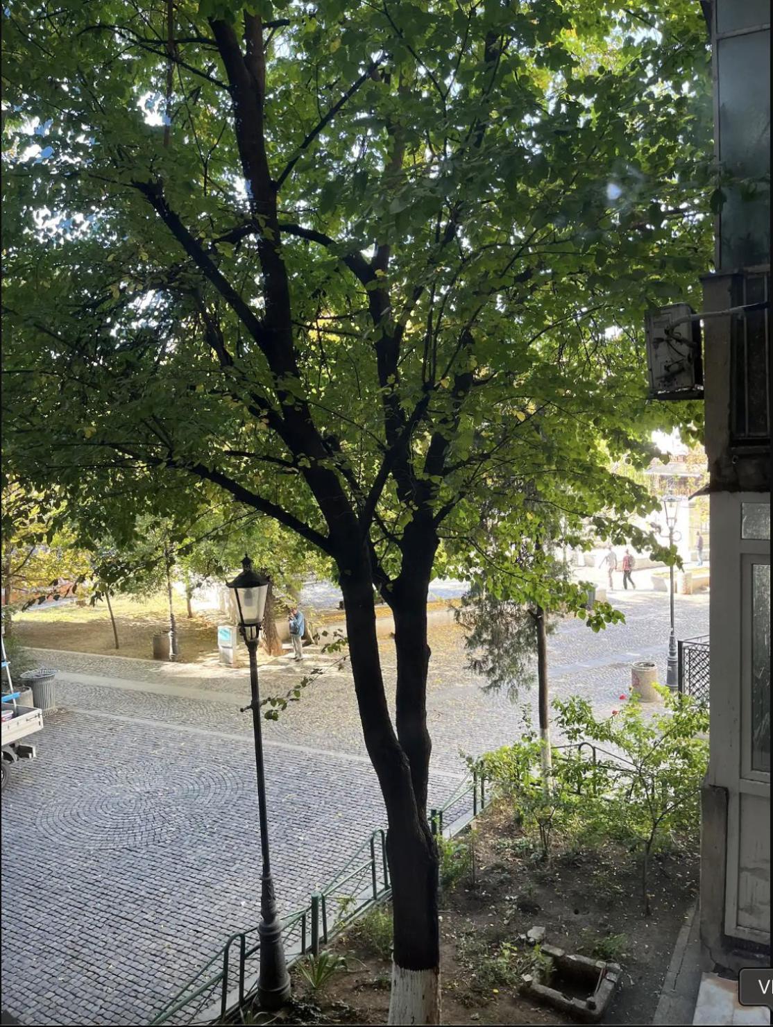 Superior One Bedroom Apartment Unirii Square Bucharest Luaran gambar